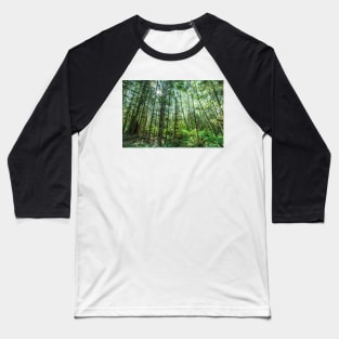Hoh Rainforest #3 Baseball T-Shirt